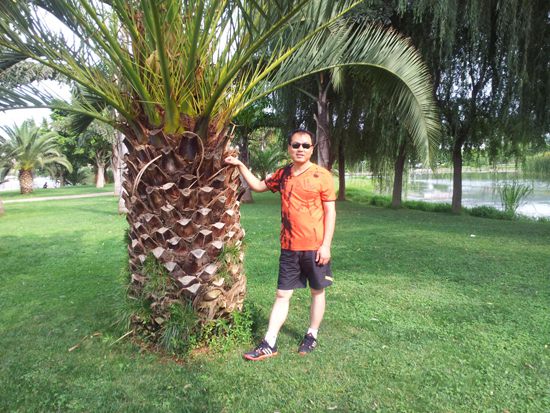 草莓色版APP在线观看