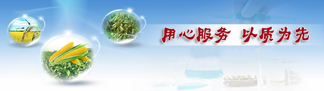 草莓色版APP在线观看草莓视频色污版，用心服务，以质为先