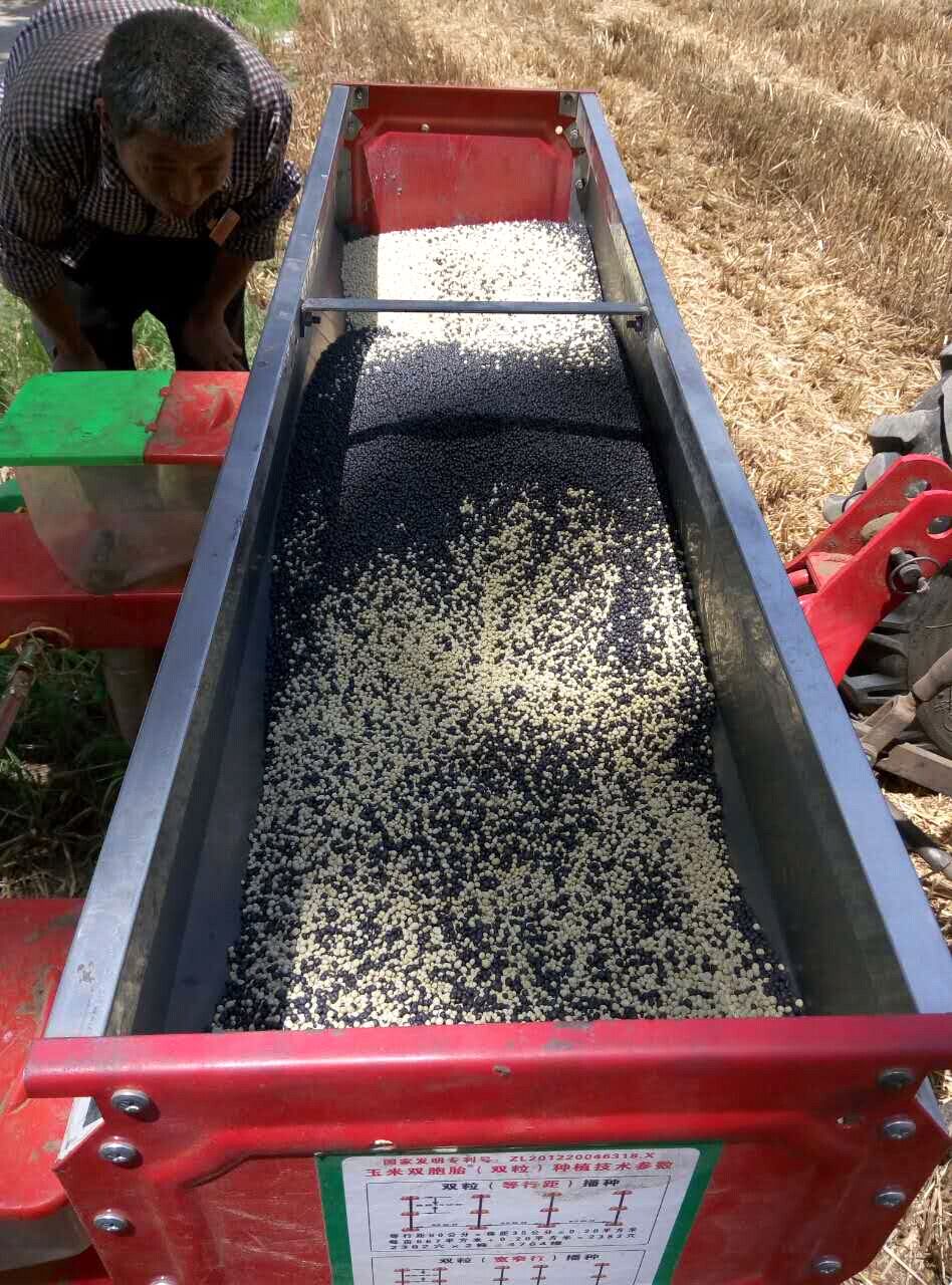 草莓色版APP在线观看玉米草莓视频色污版施用现场