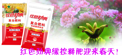 草莓色版APP在线观看草莓视频色污版迎来春天