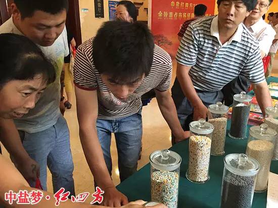 新型肥料种类很多，缓释肥料、稳定型肥料、控释性肥料都在其中，这些产品各有特色，都是长效肥，他们有哪些区别呢？