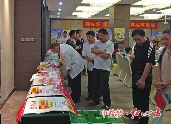 躬耕盛夏，蓄力金秋！