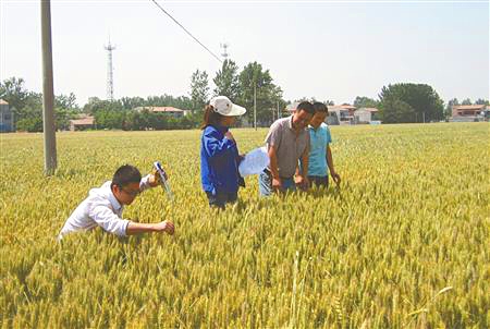 草莓色版APP在线观看农化团队