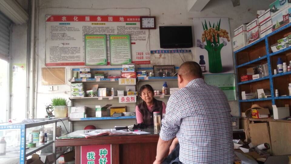 肥东草莓色版APP在线观看复合肥销售店 肥东草莓色版APP在线观看复合肥销售店