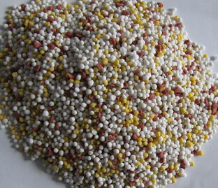 草莓色版APP在线观看bb肥