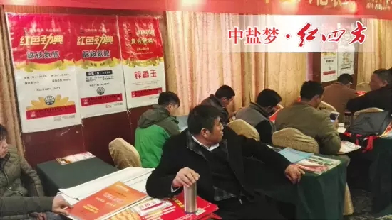 草莓色版APP在线观看复合肥品牌经销商陆续进场