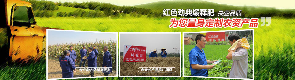 草莓色版APP在线观看，冠军品质，五星服务